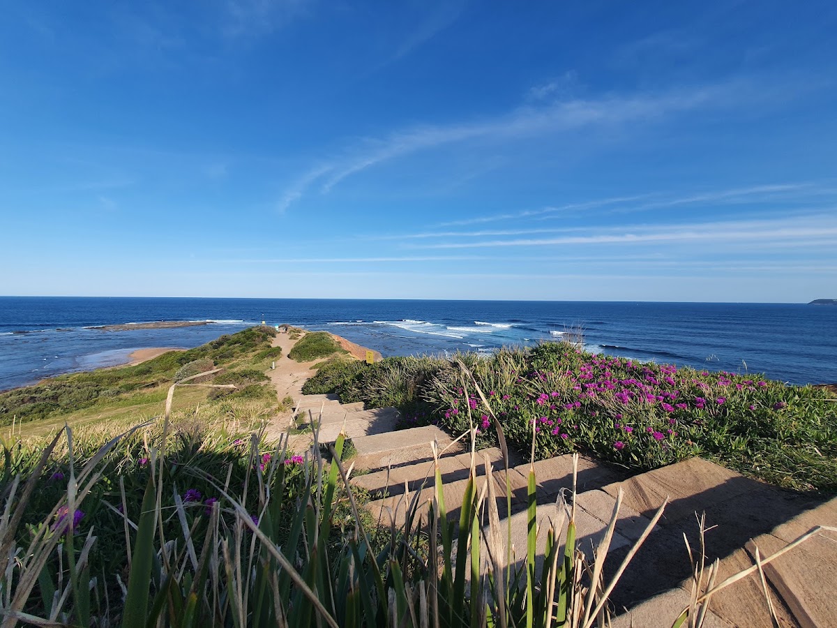 Long Reef Point Lookout