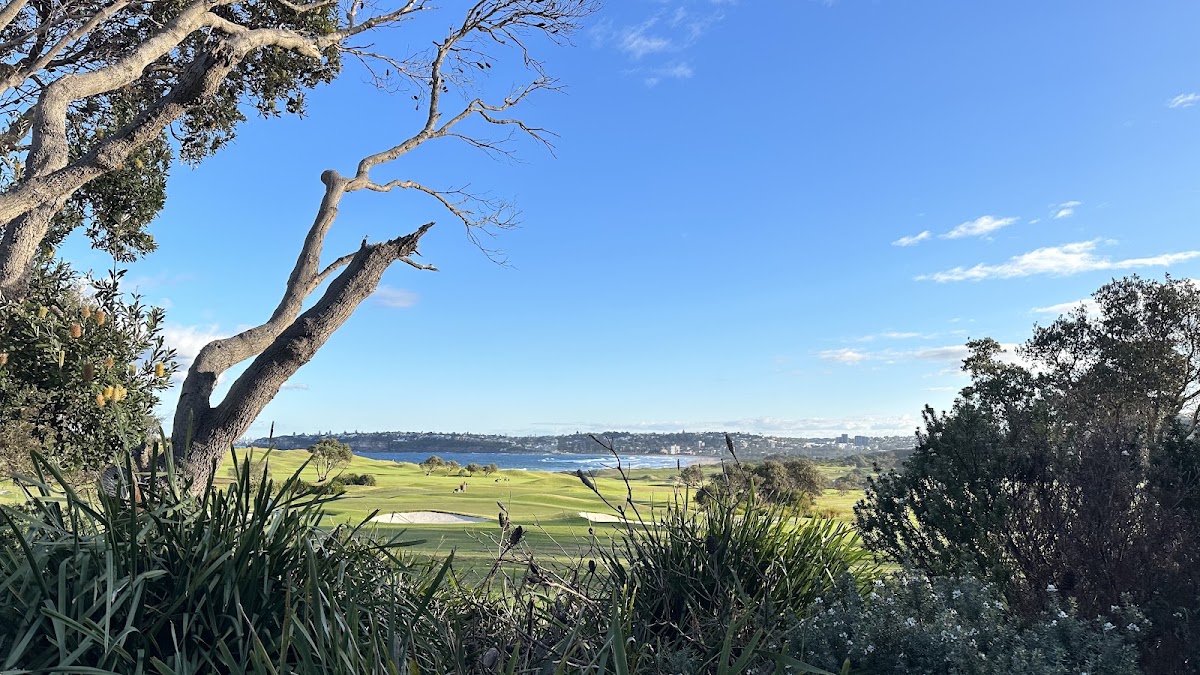 Long Reef Point Lookout