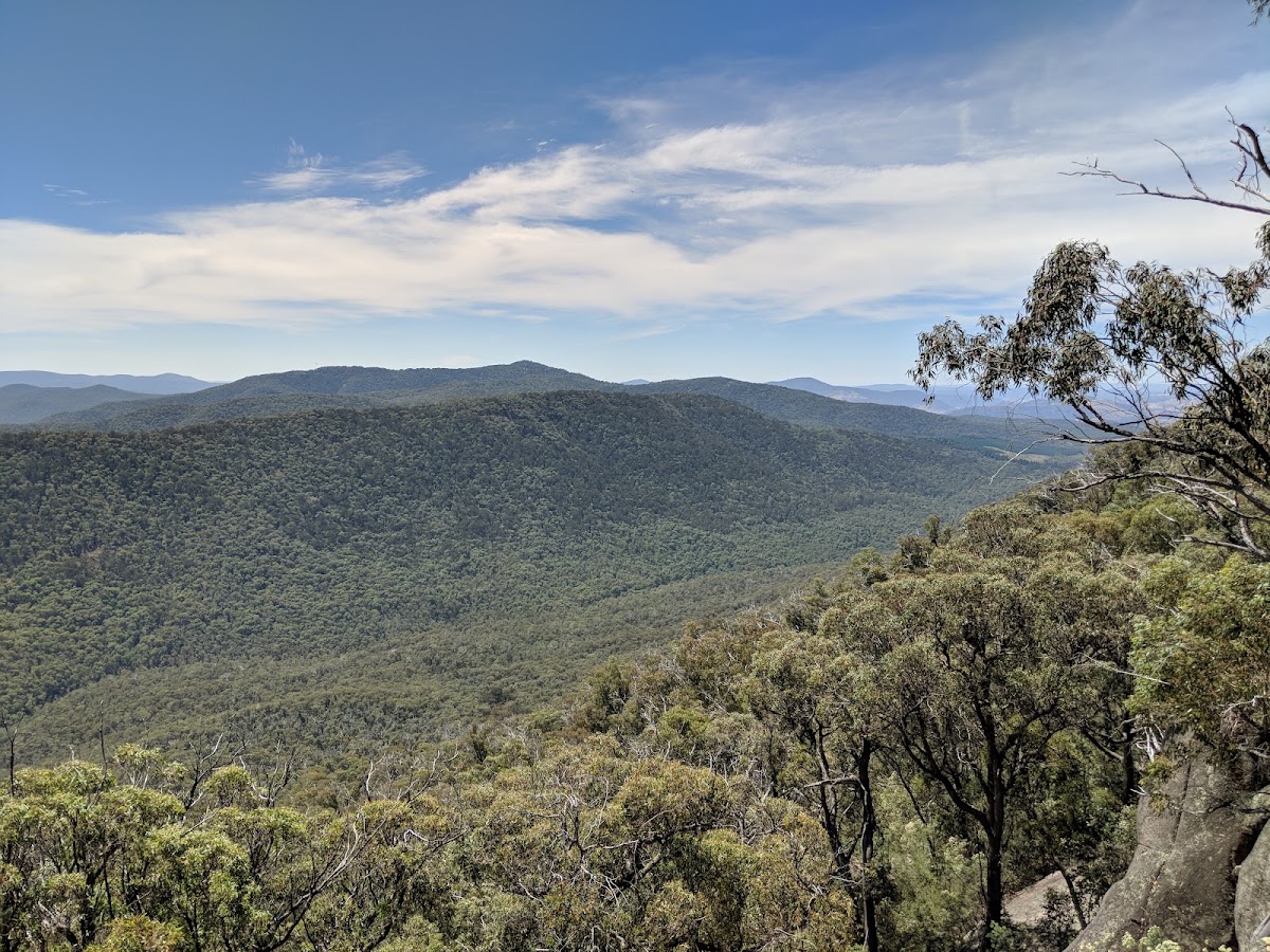 Mount Lawson State Park - The Kurrajongs