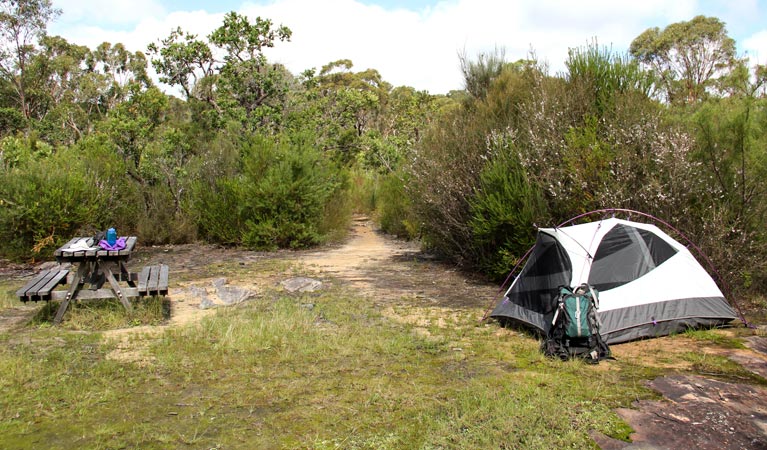 Campsite D