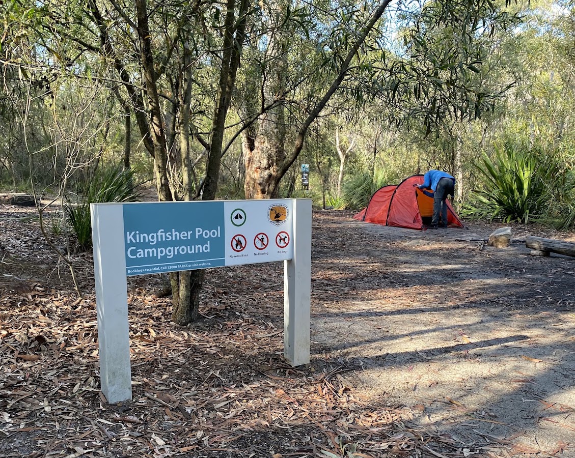 Campsite D
