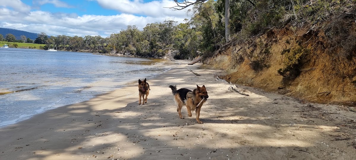 Drip Beach