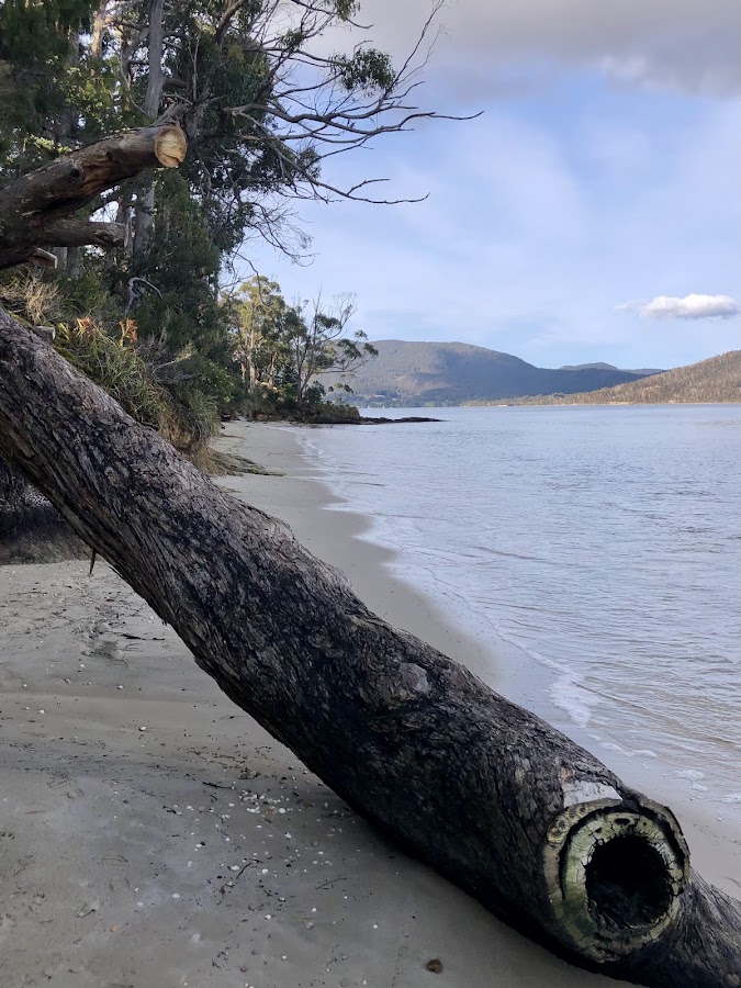 Drip Beach
