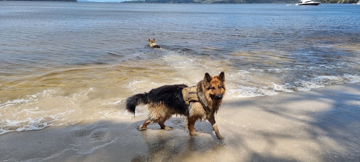 Drip Beach
