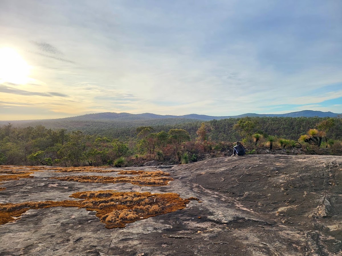 Mount Cooke Campsite
