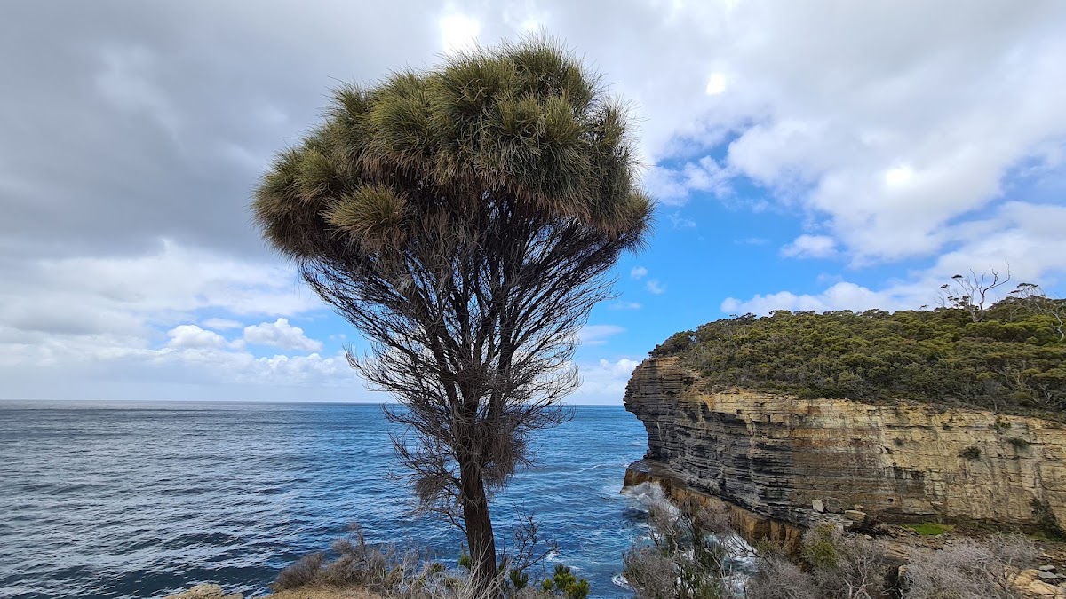 Fossil Bay Lookout