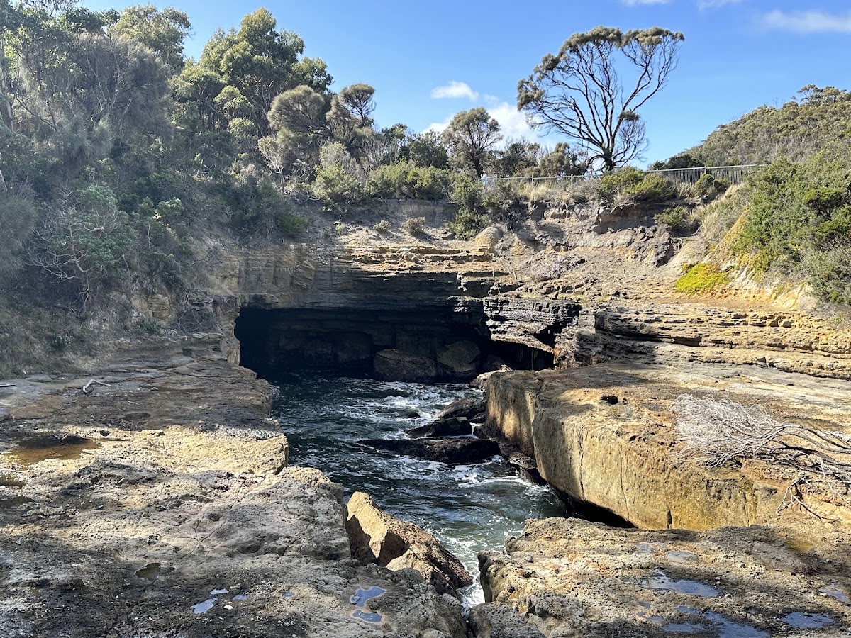 Fossil Bay Lookout