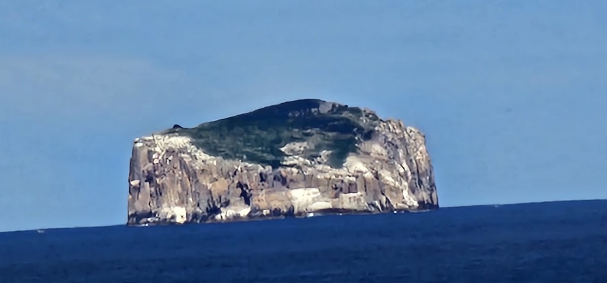 Fossil Bay Lookout