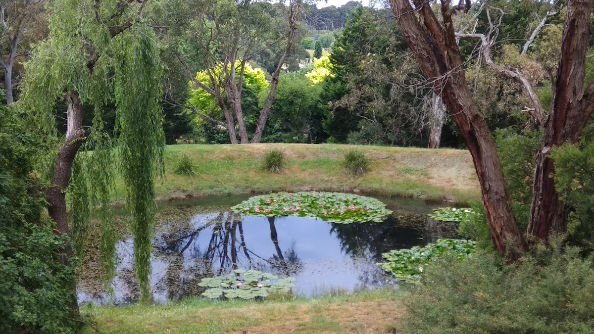 Joan Phillips Reserve Lookout