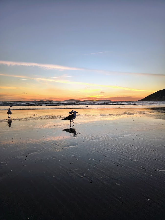 Norman Beach