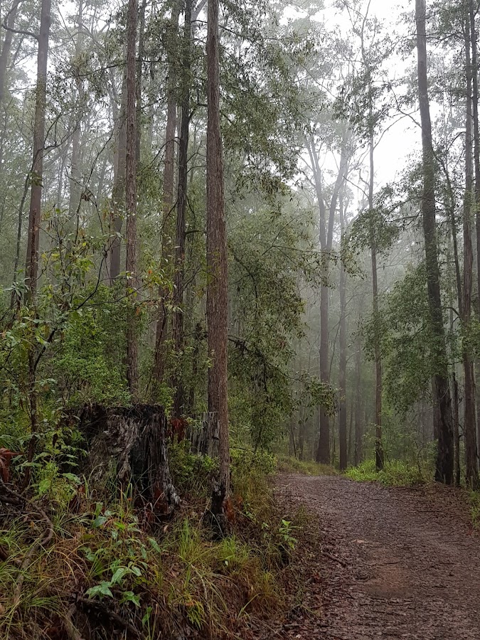 Parklands Conservation Park