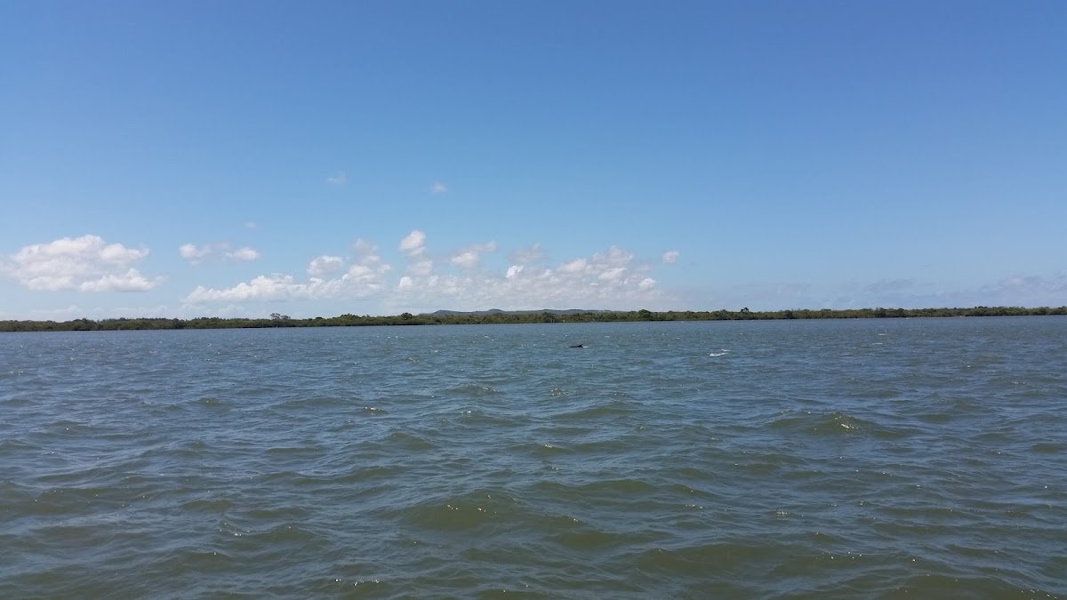 Southern Moreton Bay Islands National Park