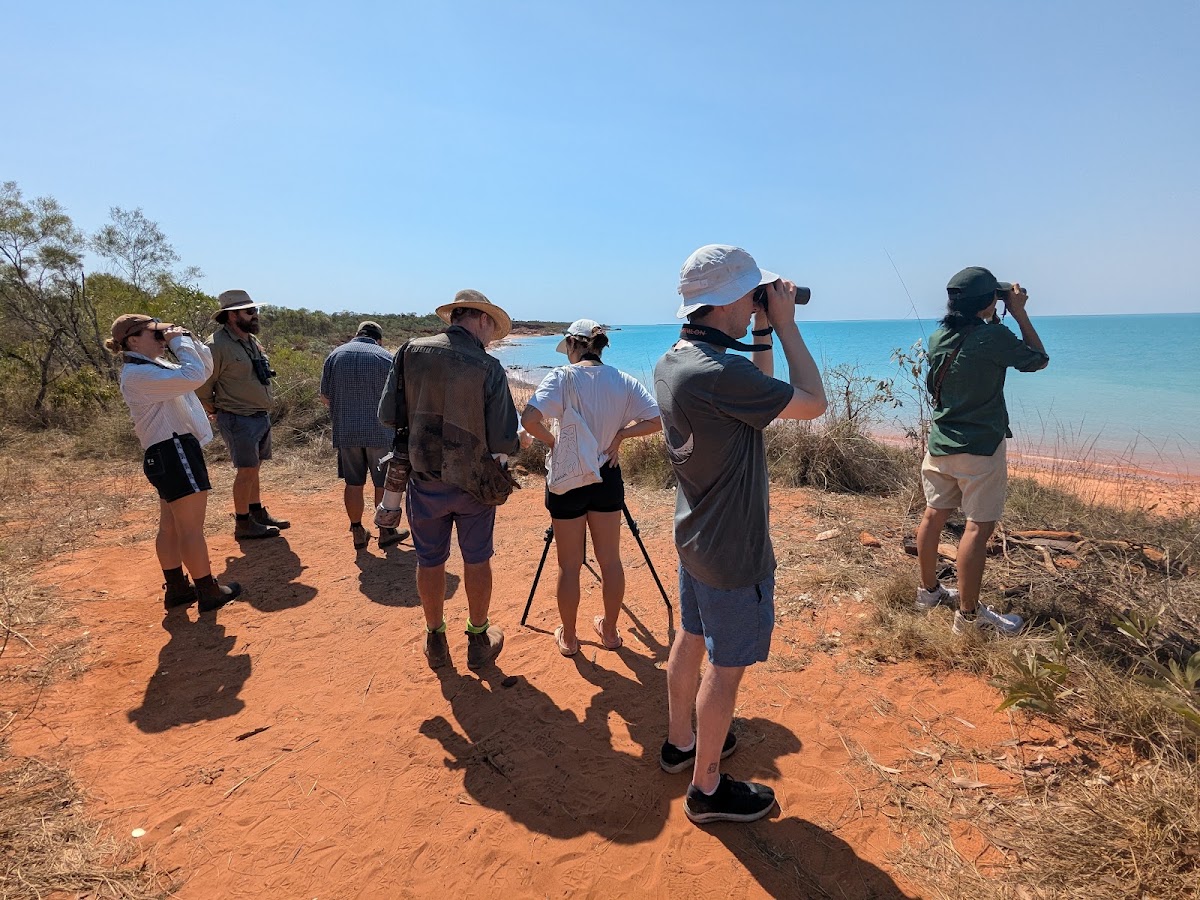 Bird Observation