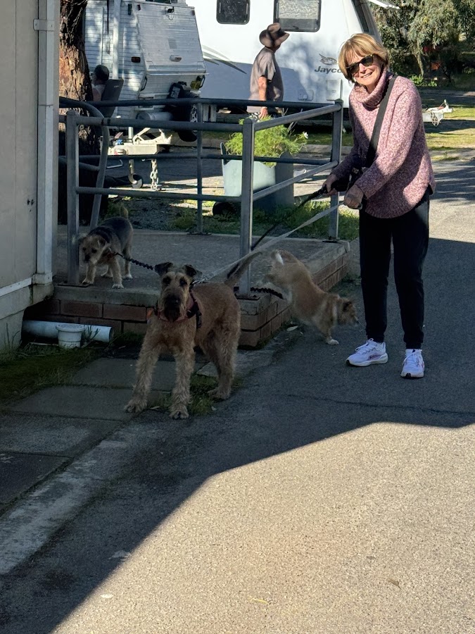 Mingenew Spring Caravan Park