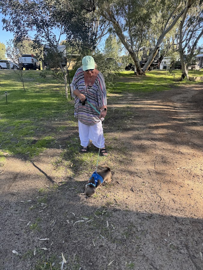 Mingenew Spring Caravan Park