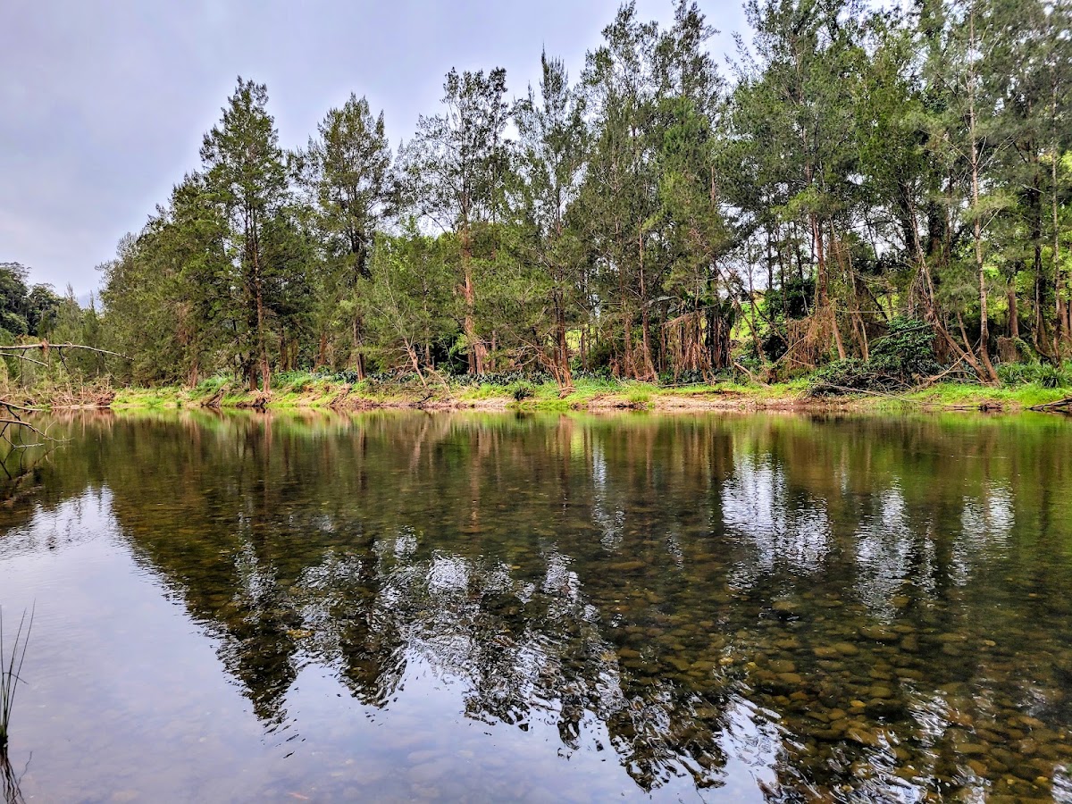 Thora - Roses Park Rest Area