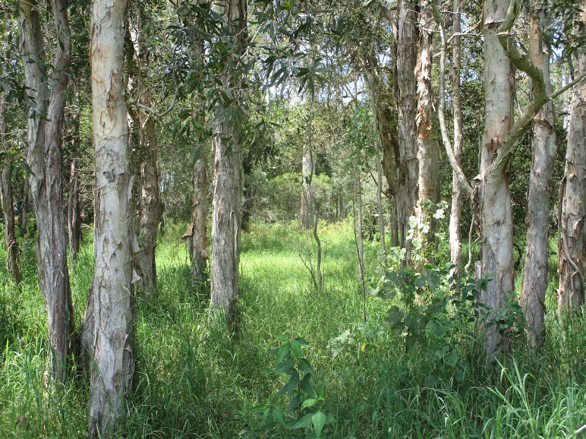 Granville Conservation Park