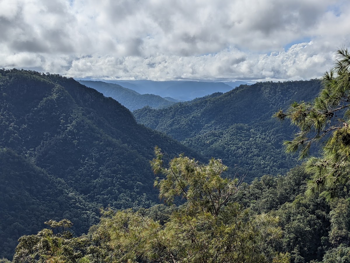 Girringun Conservation Park