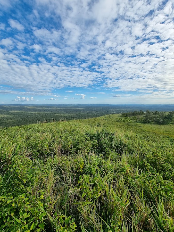 Girringun Conservation Park