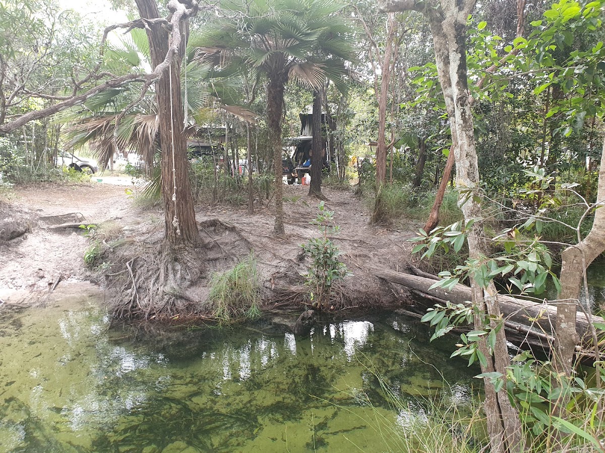 Nolan's Brook Creek