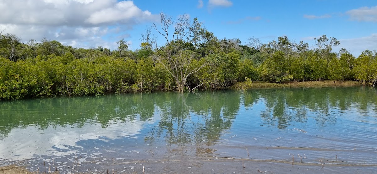O'Regan Creek Conservation Park