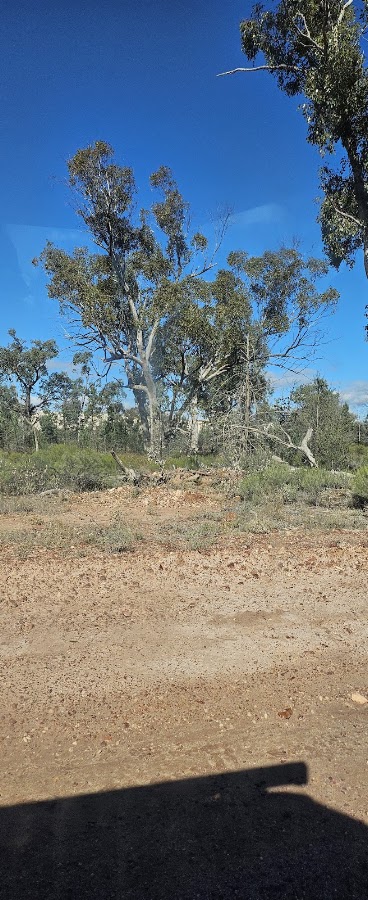 Cumborah Recreation Reserve