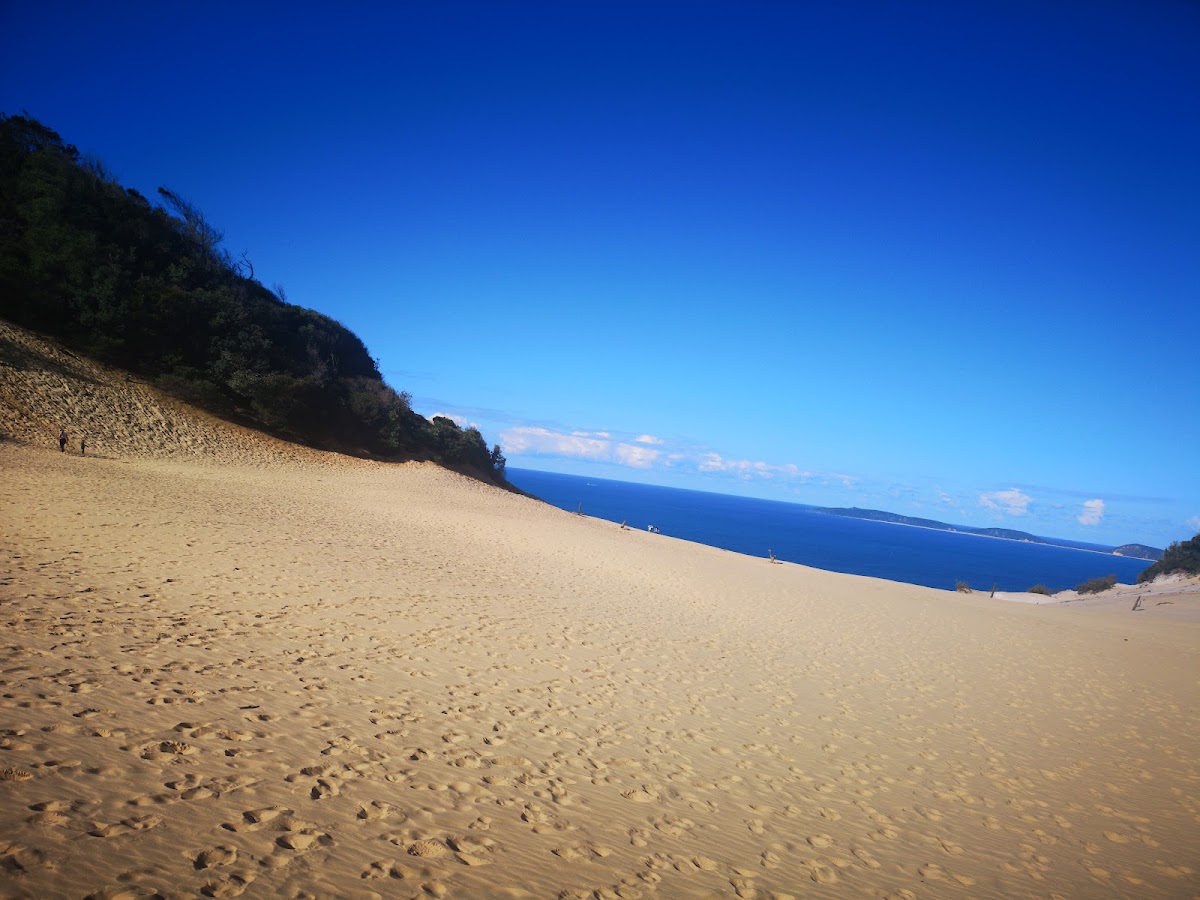Carlo Dune Viewing Platform