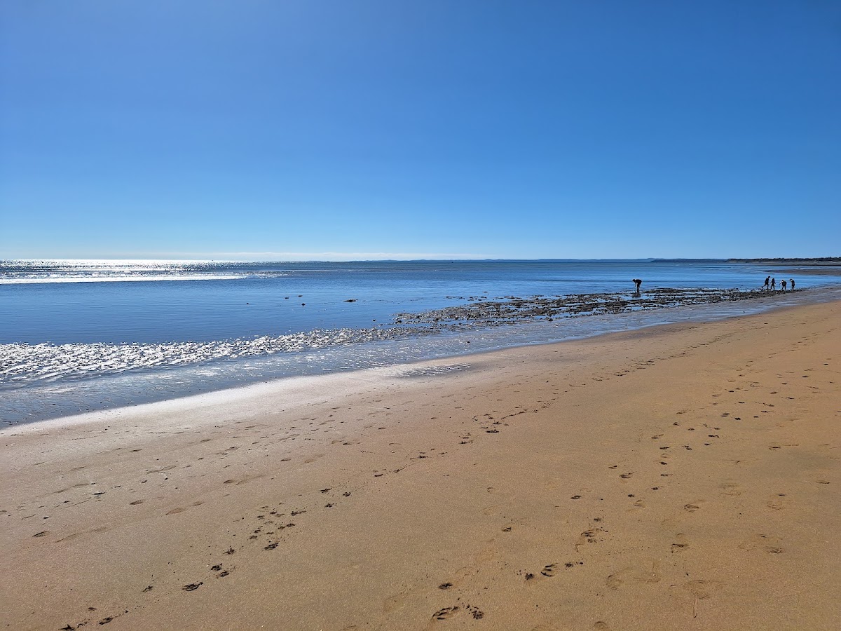 Pialba Beach
