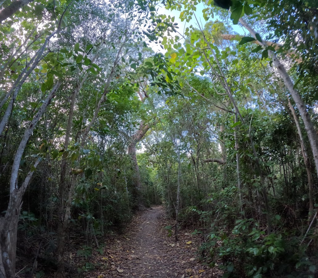 Conway Conservation Park