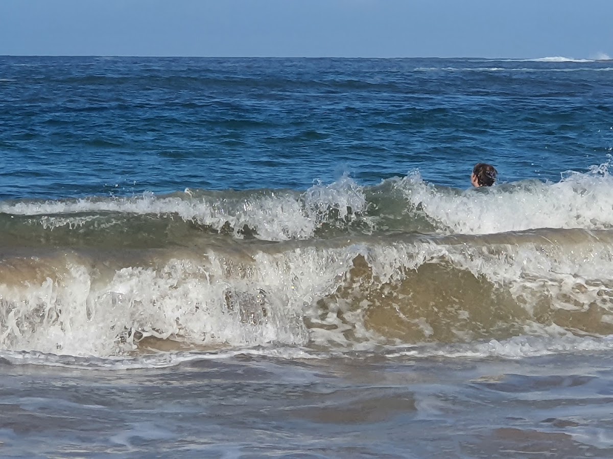 Emily Miller Beach