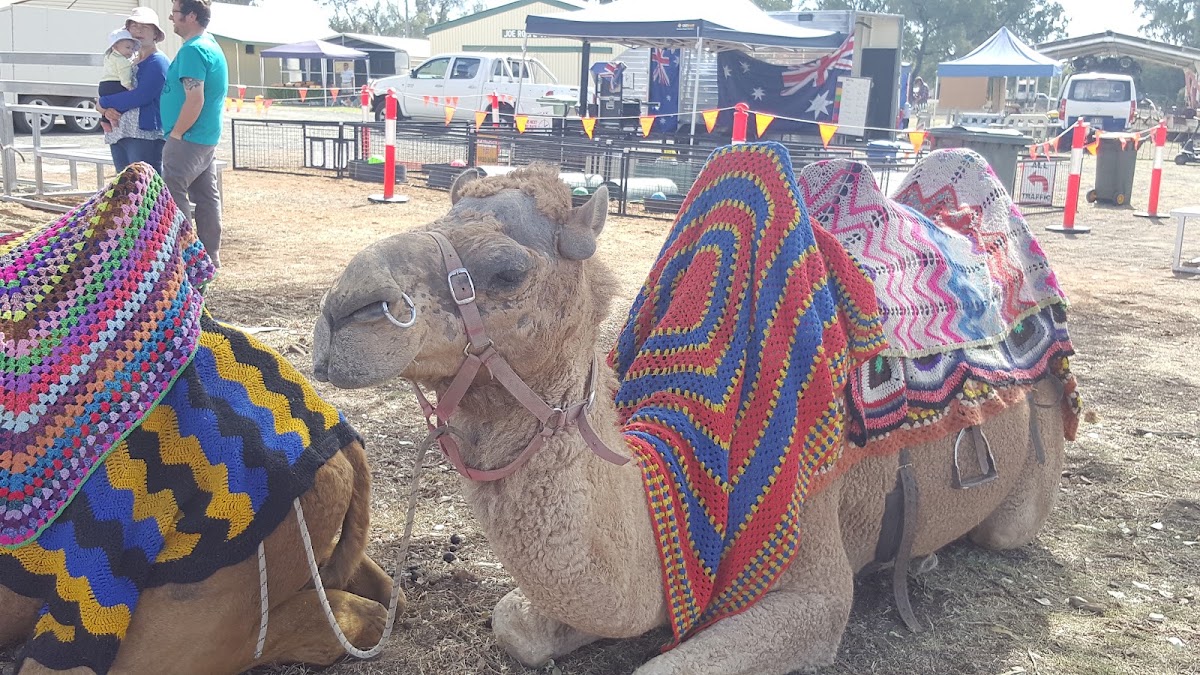 Mitchell Showgrounds - Camp Area Special Events / By Prior Approval