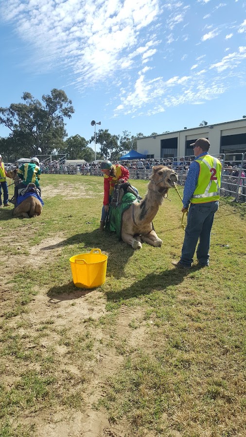 Mitchell Showgrounds - Camp Area Special Events / By Prior Approval