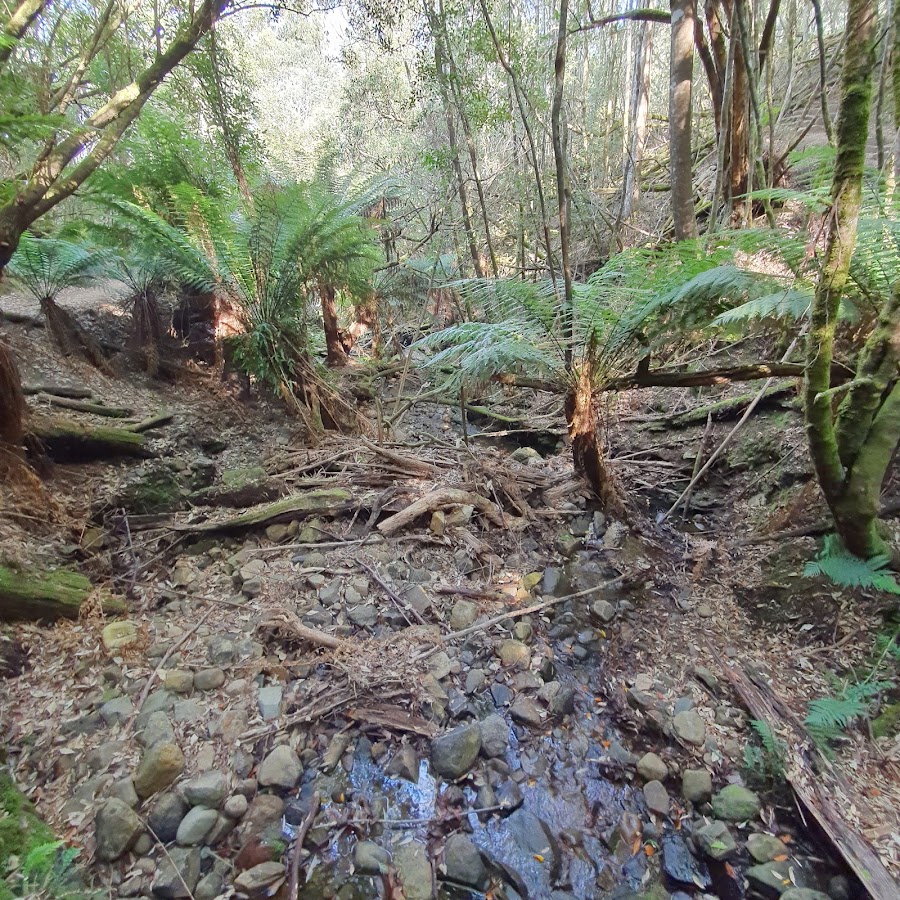 Secret Falls