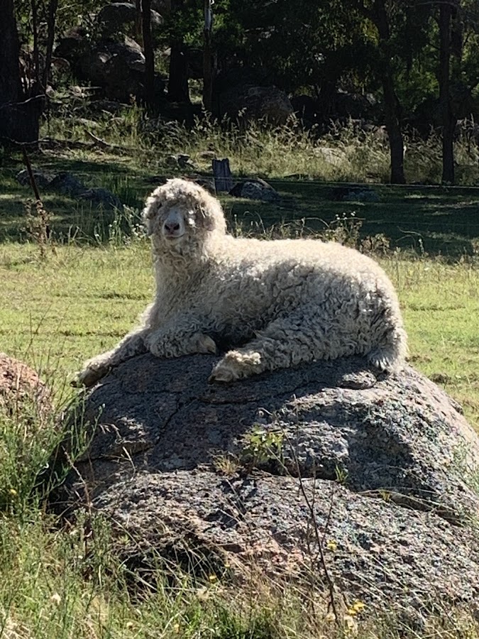 Kookaburra Camping & Caravan Park