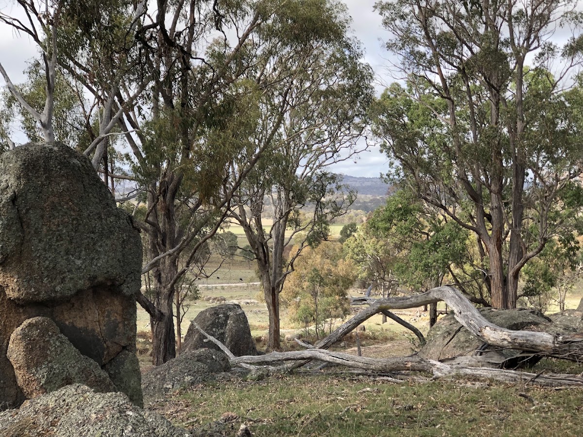 Kookaburra Camping & Caravan Park
