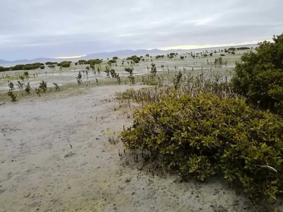 Toora Beach