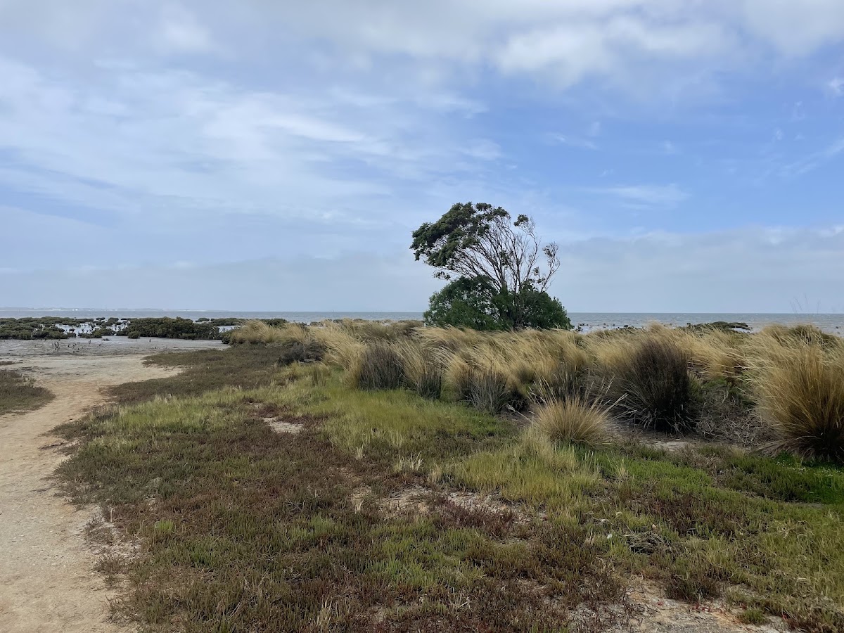 Toora Beach