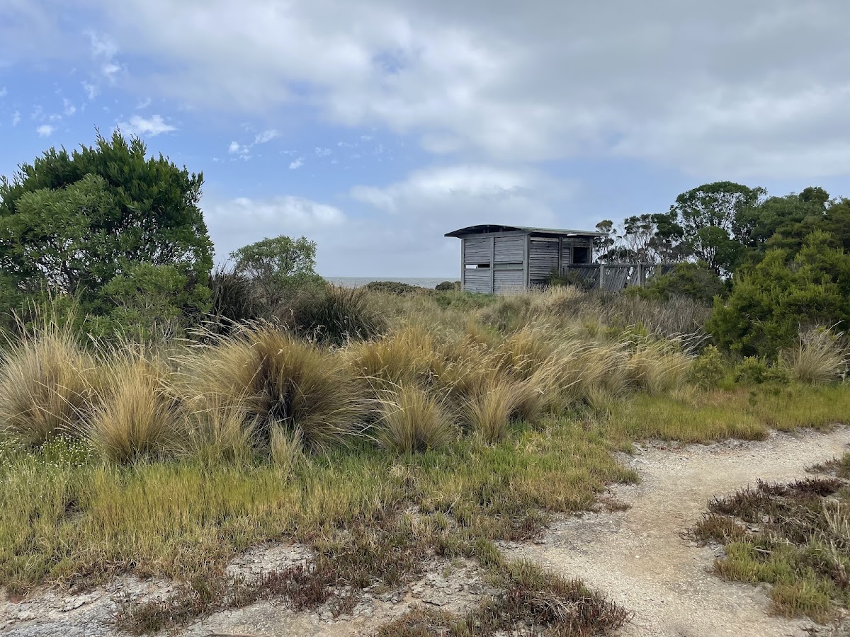 Toora Beach