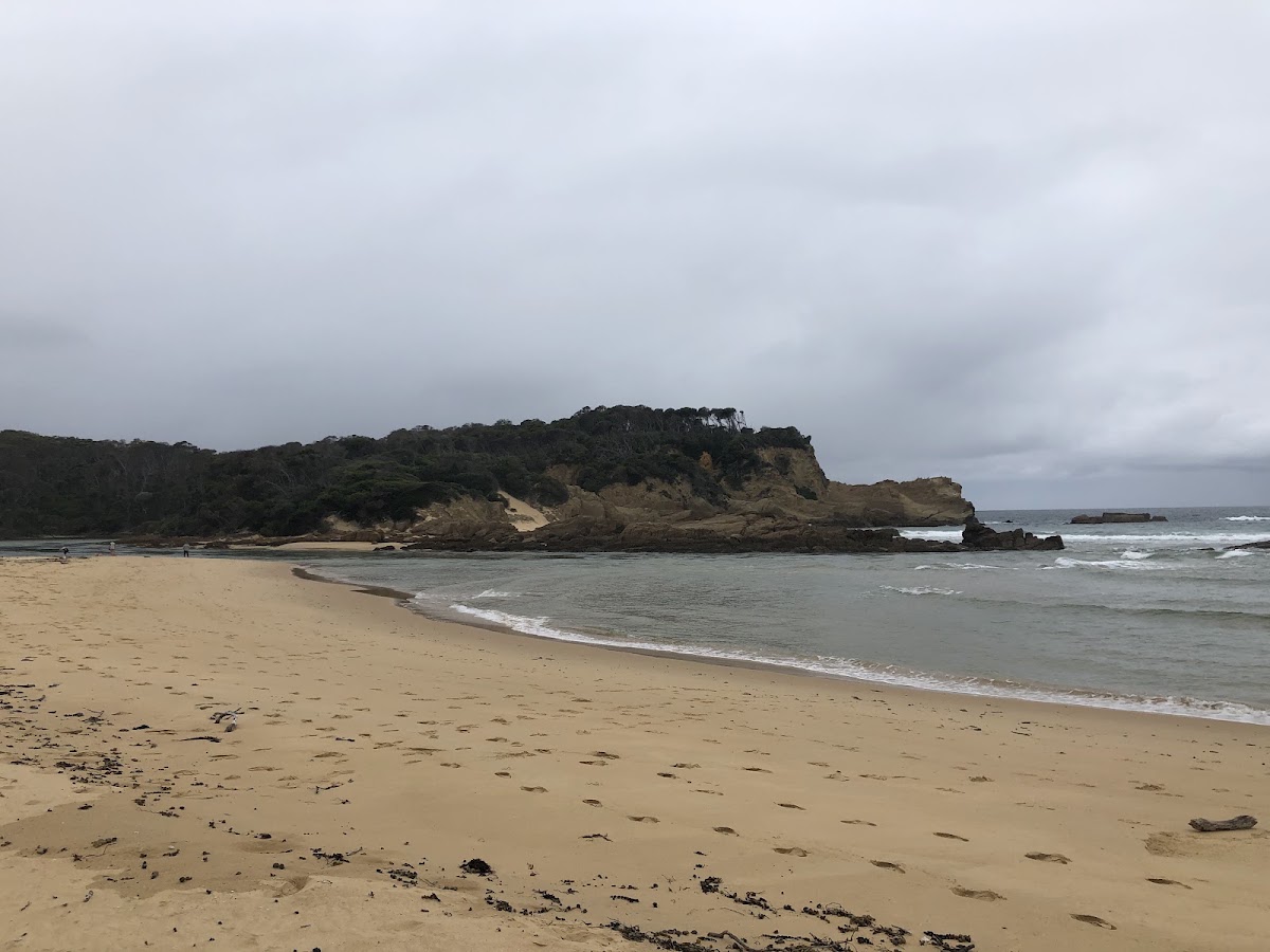 Tathra Beach