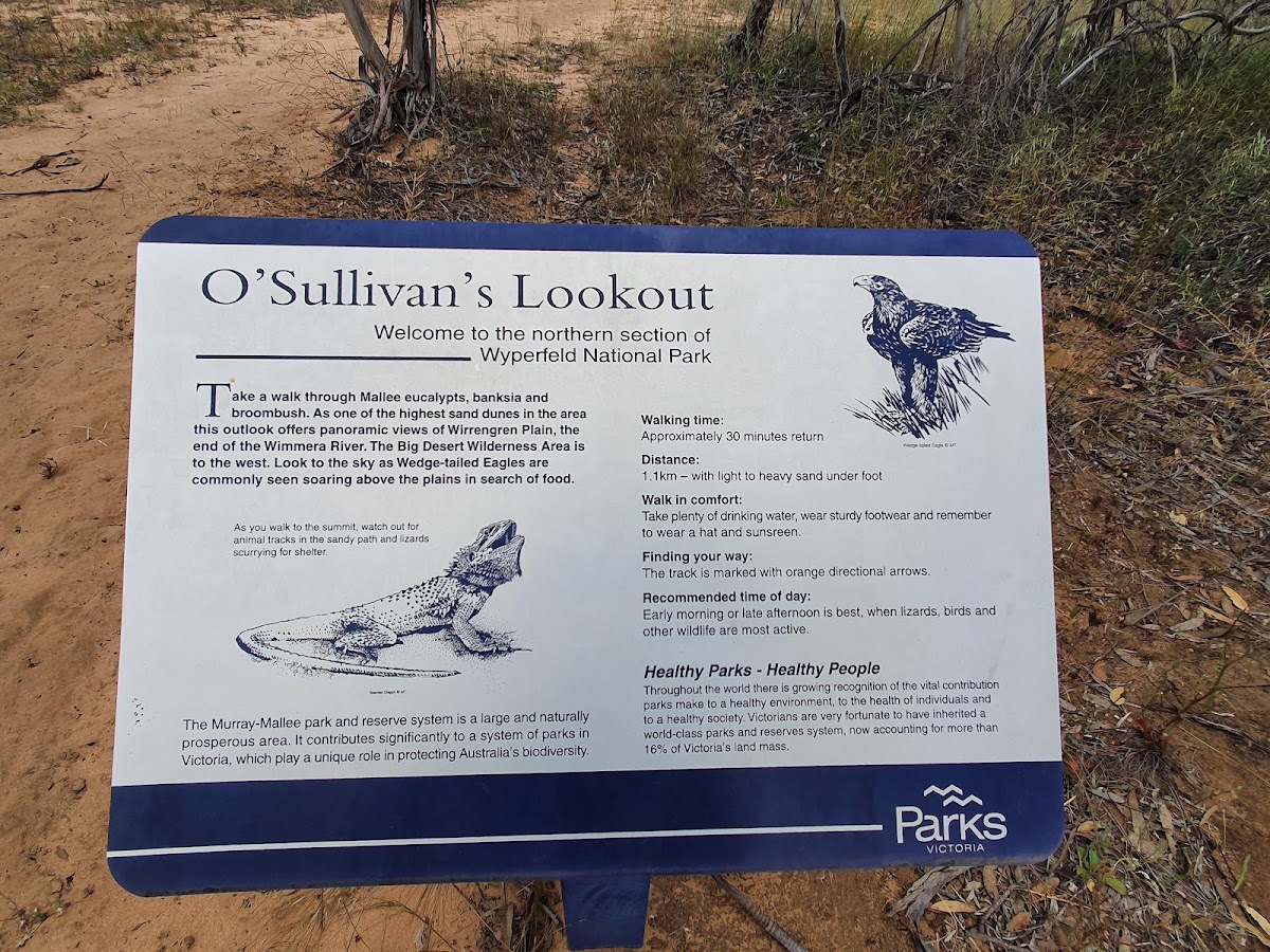 O'Sullivan Lookout