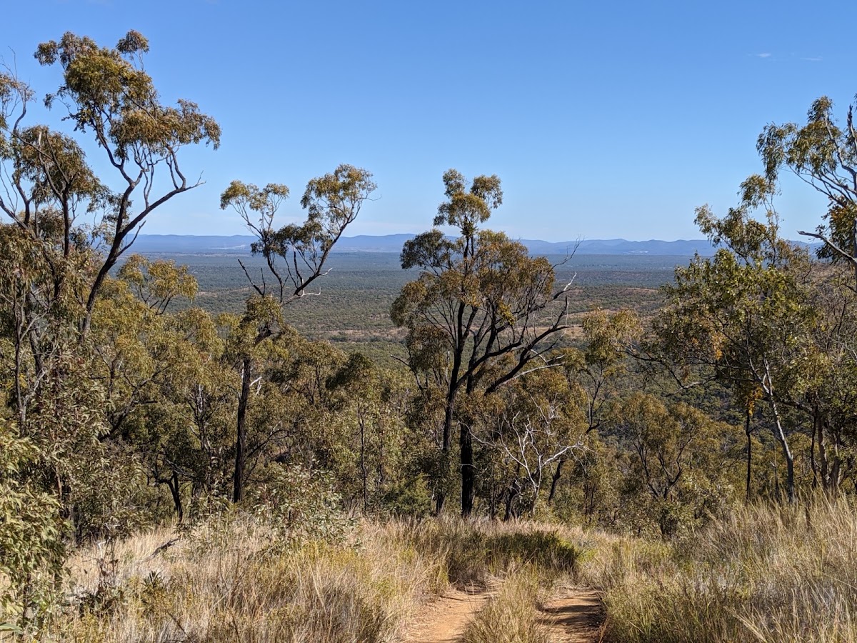Homevale National Park