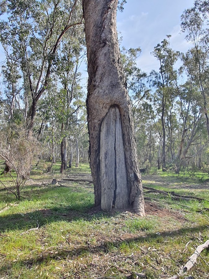 Lower Goulburn National Park