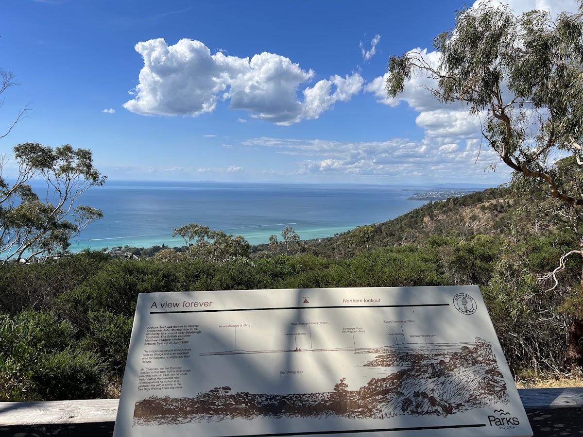 Northern Lookout