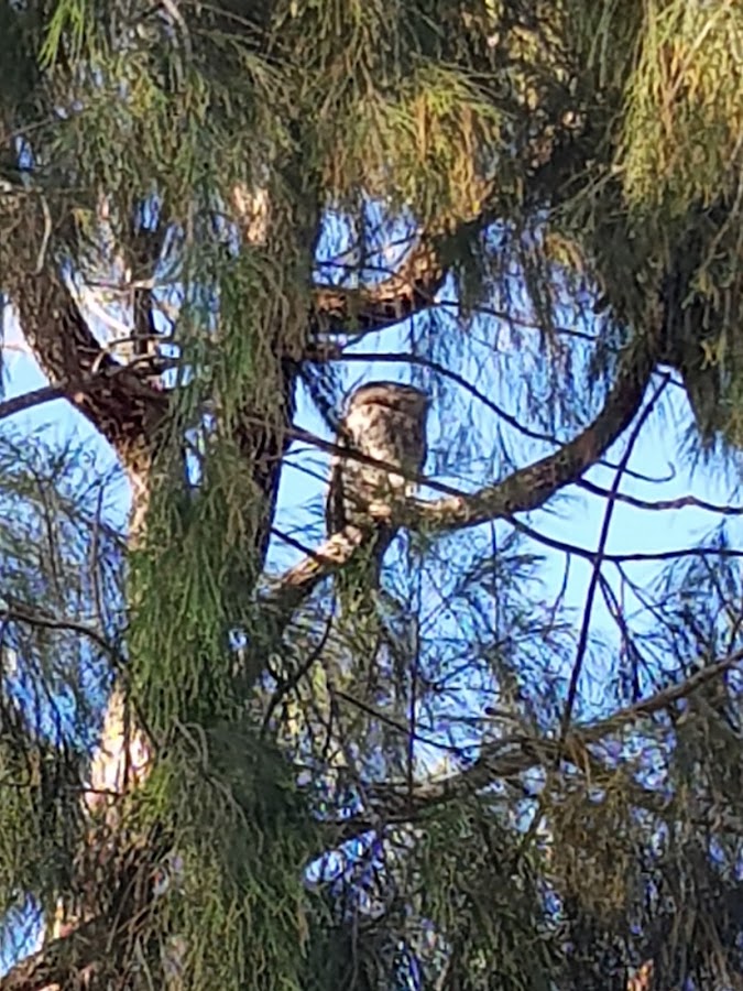 Bottle Creek Conservation Park