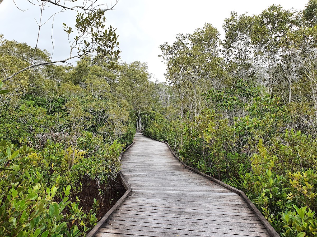 Maroochy Wetlands Conservation Park