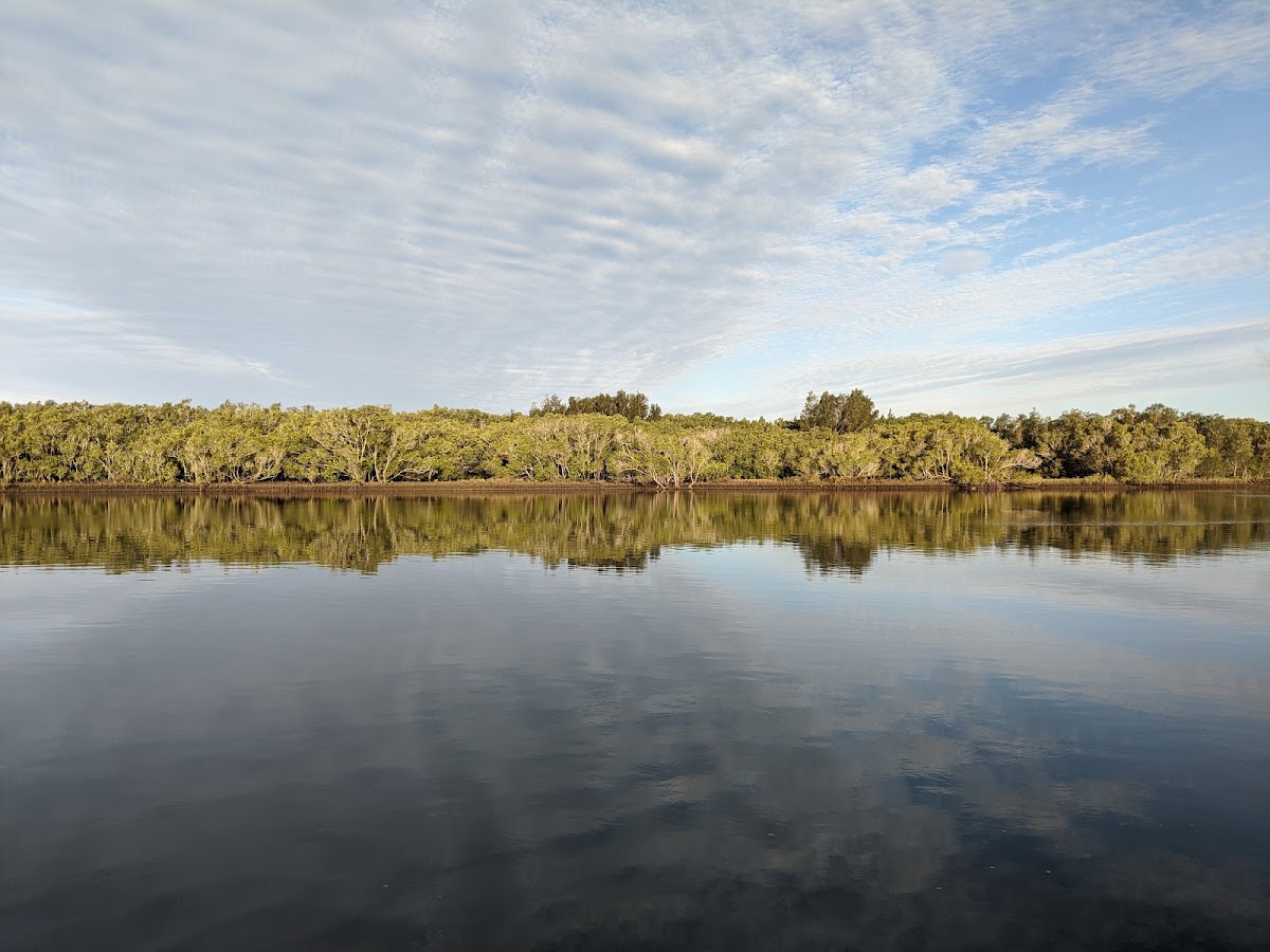 Maroochy Wetlands Conservation Park