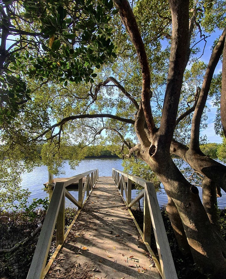 Maroochy Wetlands Conservation Park