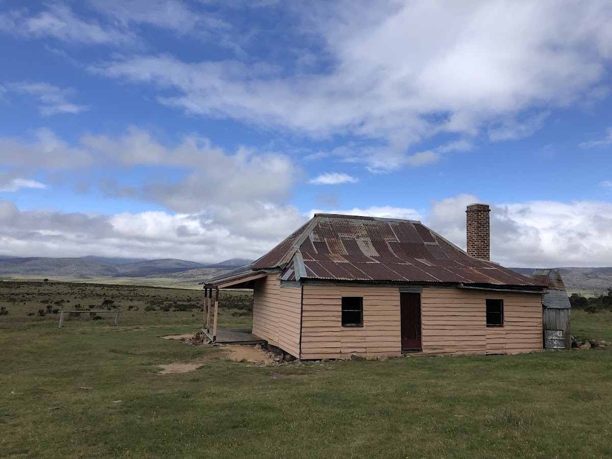 Tantangara Creek Camping Ground