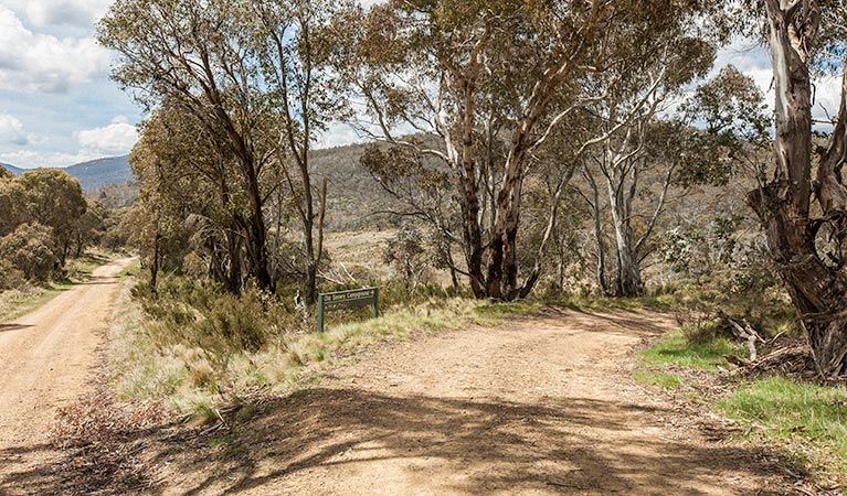 Tantangara Creek Camping Ground
