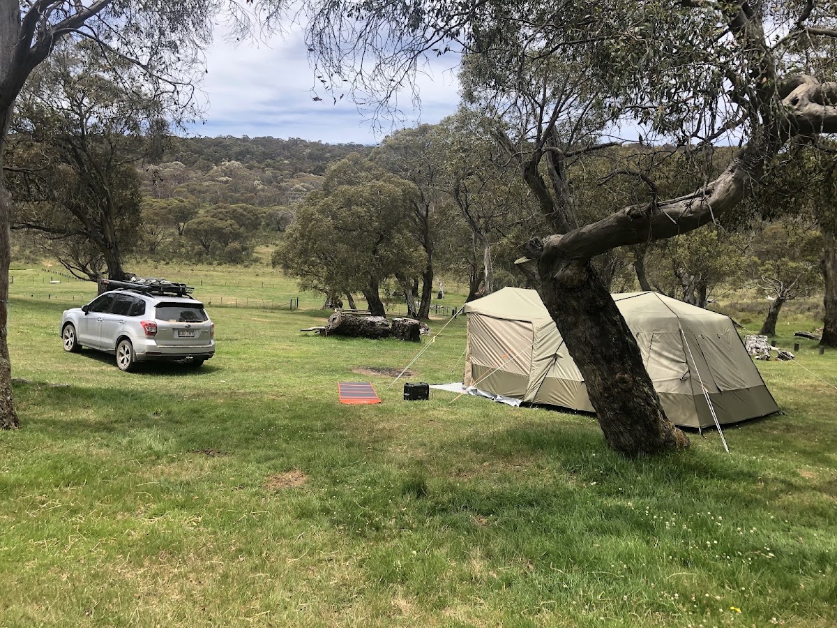 Tantangara Creek Camping Ground